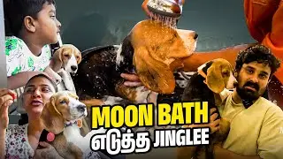 Moon Bath எடுத்த Jinglee 😍🐶 Dhruv Vs Dog சேட்டைகள் 😂| Myna Wings