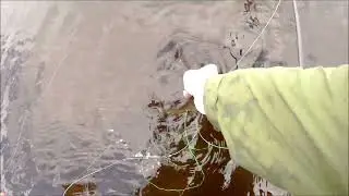 fly fishing loch finlas 28/7/23