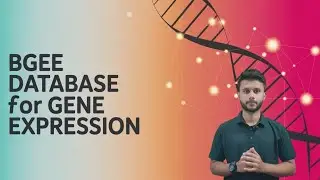 Bgee database for gene expression !