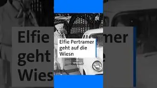 Und hat Schauspielerin Elfie Pertramer recht? 🍻🚶&zwj;♂️🚗🎡 | BR #retro #archiv #wiesn