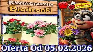 BIEDRONKA Kwiaciarnia Biedronki od Czwartku 05.02.2026 | Kwiatowe Inspiracje i Okazje &ndash; Tanie Kwiaty