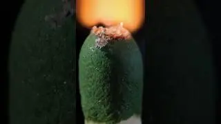 Stunning Matchstick Burning In Slow Motion Macro