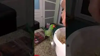 Иннокентий суетолог