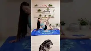EASY Yoga Poses for Complete Beginners 🧘 Yoga With Helen