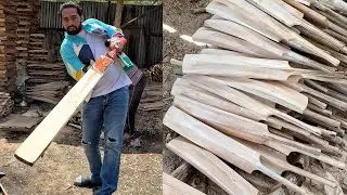 ऐसे बनते हैं धोनी विराट के बल्ले😱😱Best Quality, Lifetime Warranty Bats😳😳 Indian Sports Factory