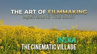 Golden Mustard Fields | Cinematic Nature Video | Peaceful Rural Vibes