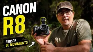 I'm Turning My Canon R8 Into a TRAIL CAMERA