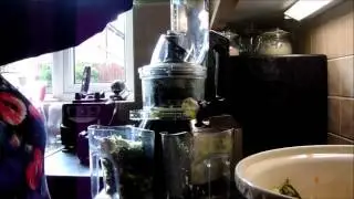 Juicing with Optimum 600