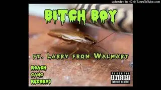ROACH GANG RECORDS - B*TCH BOY (ft. Larry from Walmart)