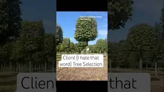 Private Garden Design Client Tree Selection