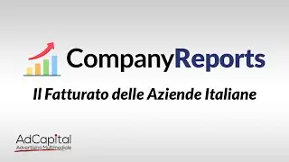 Benvenuto su CompanyReports.it