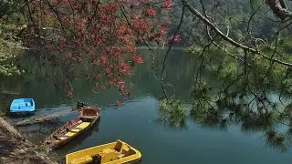 EP: 03 | Last Day in Bhimtal | Exploring Sattal + Breakfast at Cafe ☀️ | Heading Home 🚗