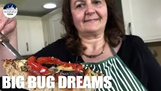 Meaty flavor with rich protein? Edible bugs set for business boom