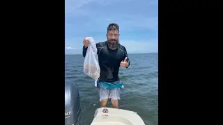 Scalloping quick tips