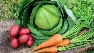 CROPPING SYSTEMS