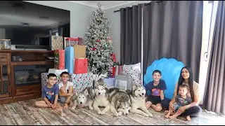 CHRISTMAS 2024 | LIFE WITH 4 HUSKIES & 4 SONS | FAMILY OF 10!