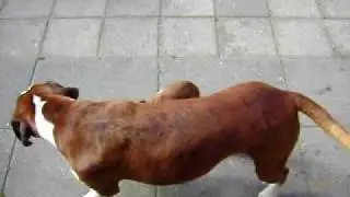 MOV02501