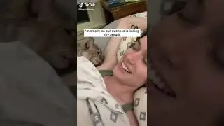 CAT 🐈  Lick Armpit 👅