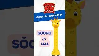 🙋🏻&zwj;♀️Opposite Word Challenge | Guess the opposite of common Thai words #quiz #thailanguage #thai