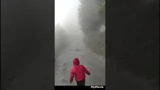 şehit Eren Bülbül'ün kabri ve evi Trabzon köprüyanı köyü