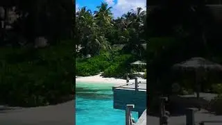 Tropical Beach With White Sand And Palm Trees