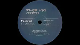 Mauritius &ndash; Nachtflug (Original Mix)