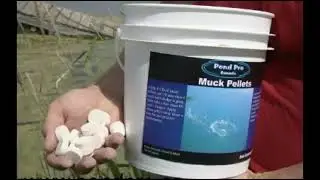 Pond Pro Muck Pellet Application Video