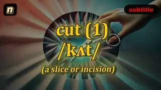 [n] Cut meaning (a slice or incision made in an object or surface) with 5 examples