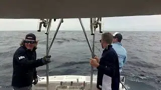 September Sailfish 2022 Off the Sunshine Coast With Smithys Fishing Charters Mooloolaba in Qld