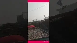 30  raj bhai ne mangbay kabutar viral #shortvideo