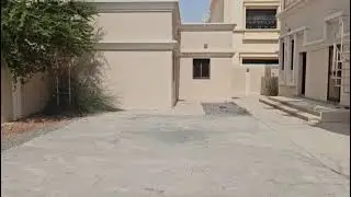 Celebrating with a wall and paint work