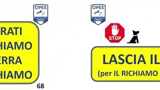 CARTELLI RALLY-O OPES