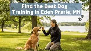 Find the Best Dog Training in Eden Prairie Minnesota