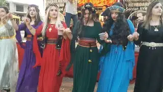 İmat Rekani - Çukurca Düğünü KURDSH WEDDING [ 2021 © HD ]