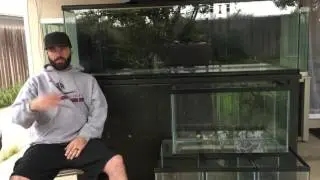 How to buy used fish tanks
