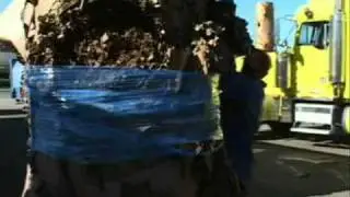 Green Planet 21 Recycling