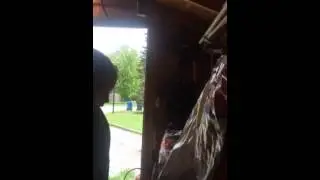 Rabbit chores
