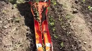 Paperpot transplanter at Colfax Farm