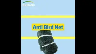 Anti Bird Net