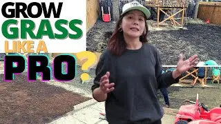 How to Grow a new lawn | Planting grass seed, overseeding | yard & sod care tips In Winnipeg Canada
