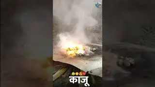 भाजलेले काजू_😋||kokan whatsapp status||#kaju #cashew #kokan #kokanbeauty #konkan #whatsappstatus_💚!!