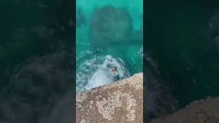 🌊 Woman Jumps from a High Cliff into the Water