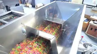 DJL 24 Tablet/capsule counting and bottle packing machine
