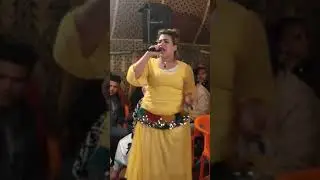 نايضة   مع العلامي        عرس  زاهي