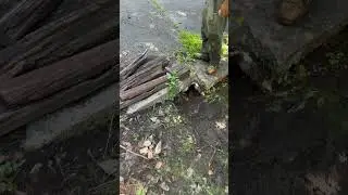 Culvert cleaning. #drainage #drainagepipes #culverts