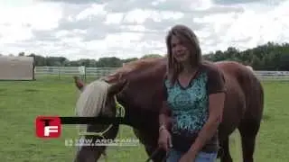 Cleaning our pastures is so fast now with Tow and Collect | Testimonial Steph Phelps