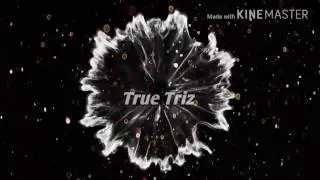 True Triz intro