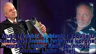 Mustafa Jukic - UZIVO Jablani se povijaju
