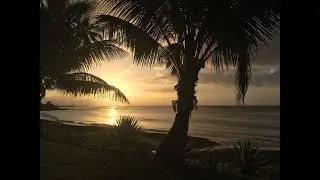 Tahiti September 2019 Video #1 Papeete & Moorea