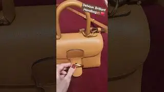 Delvaux Brillant Bag👜&hearts;️Elegant and beautiful❤️&zwj;🔥#delvaux #luxurybag #handbag #bag #belgium #luxury